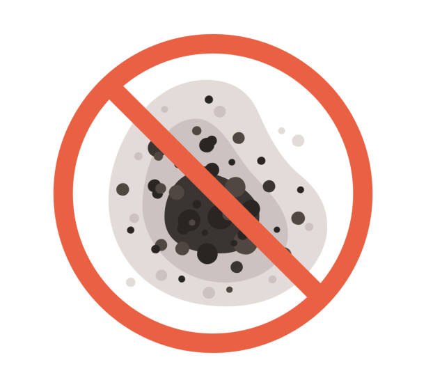 Best Mold Remediation for Healthcare Facilities  in Chatfield, MN